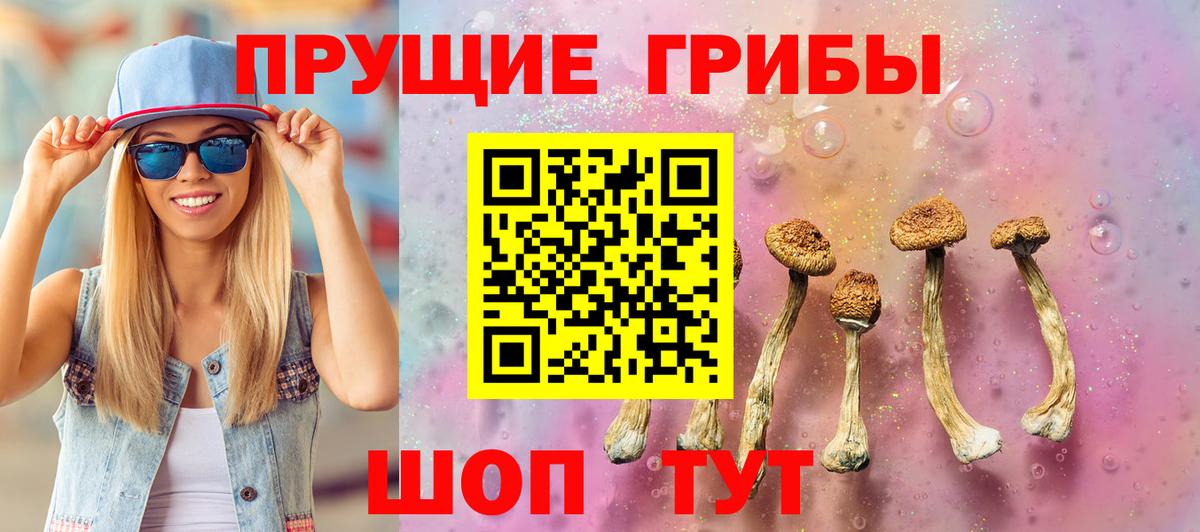 Южноуральск  Псилоцибиновые грибы GOLDEN TEACHER  Псилоцибиновые грибы MAGIC MUSHROOMS  Вход с VPN 